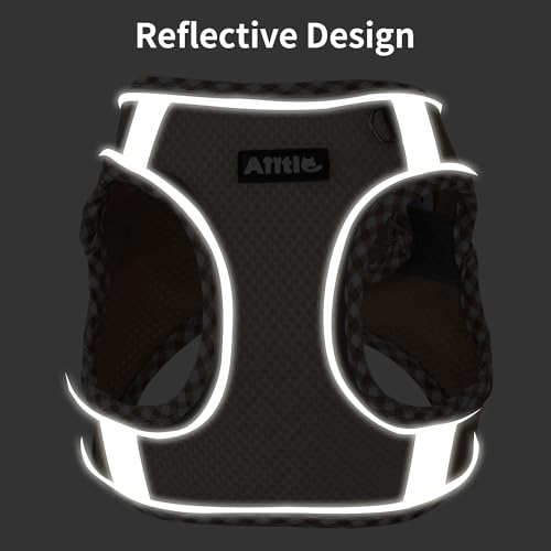 AIITLE Arnés y Correa para Perros, arnés antitirones para Cachorros con Malla súper Transpirable, para Paseos al Aire Libre para Perros pequeños, Gatos, Marrón-Beige XS - imagen 6