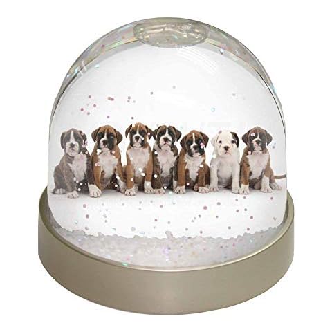 Boxer Dog Puppies Photo Snow Globe Cover