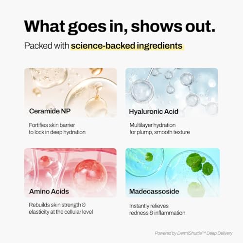 JEU'DEMEURE DermiShuttle DD Cream Deep Hydration Intensive Smoothness Face, Neck and Hand with Peptide, Ceramide, Hyaluronic Acid, Anti Aging Wrinkles Cream, Korean skincare Moisturizer (50g)