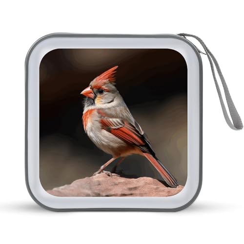 Étui à CD rigide 40 DVD oiseau sur rocher idéal en voiture et en voyage