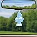 LITTLE TREES Car Air Freshener | Hanging Tree Provides Long Lasting Scent for Auto and Home | Summer Linen, 24 Air Fresheners