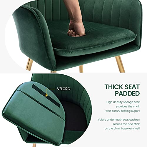 Gold Thumb Velvet Dinning Chair Set Of 2 Mid-Back Accent Chair Modern Leisure Armchair With Gold Plating Legs Upholstered Living Room Chair (Royal Green-2Pcs) #TOP4
