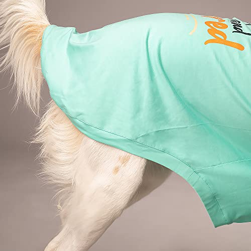Image of HUFT Adopted and Adored T-Shirt for Dog - Light Blue - S