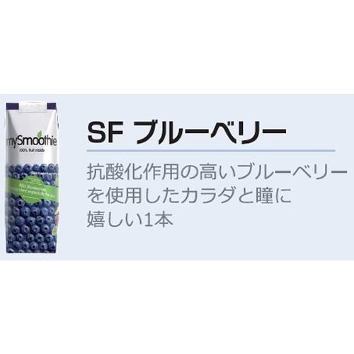 最安値 英産 スムージー スーパーフルーツ ブルーベリー パック250mlの価格比較