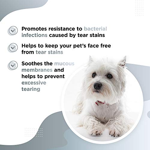 Dog's Lounge - TEARY - Natural Tear Stain Supplement for Dogs | Helps to Lubricate Mucous Membranes | 65 Soft Meaty Chews with Cranberry, Oregon Grape Root, Marshmallow Root, and Eyebright - Image 4