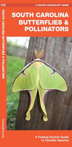 South Carolina Butterflies & Pollinators (Nature Observation North America)