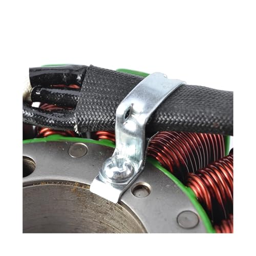 Bobinas de estator de motocicleta para AN250 y AN400 modelos 2003 a 2006 6