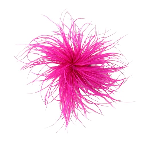 LAKPYN 1 peça broche de penas para mulher, pena de avestruz natural broches de penas de avestruz para mulher, broche de penas para mulher para carnaval, Halloween, festa temática, disfarce, teatro(B)