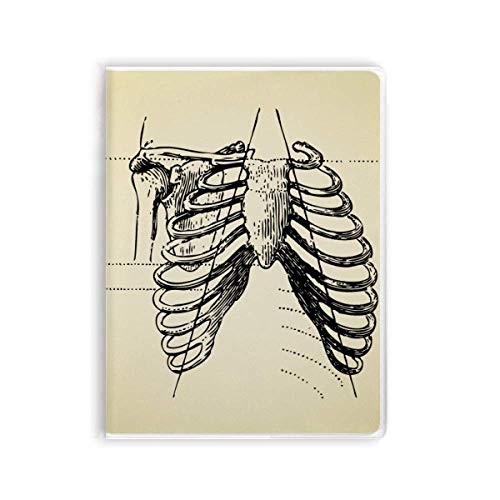 Cuaderno esqueleto humano con textura de goma de mascar y lomo flexible diario