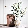   Luxurious-10-Inch-Rustic-White-Vase-24-Inch-Olive-Branches-for-Vase-Included-Large-Ceramic-Vase-for-Fake-Plants-Decor-Beautiful-Table-Centerpiece-Vase