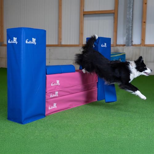 Callieway Turnier Agility Mauer „Bounce Over - Soft“ – alle FCI Sprunghöhen (Fuchsia/blau)