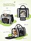Pecute Transportbox Katze,Katzen Transportboxen mit Haustiernest, Faltbare Katzentasche Transporttasche, Hundetragetasche mit Einstellbar Schultergurt für Katzen Kleiner Hund Welpe