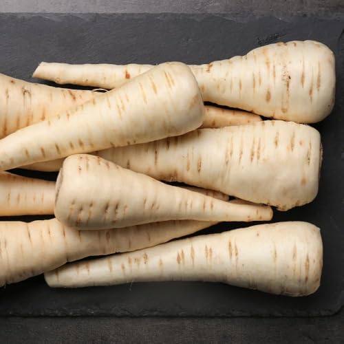 Parsnip White Gem Premium Vegetable Seeds Easy to Grow Sweet Flavour Resistant to Bolting Ideal for UK Gardens 1 x Seed Packet by Thompson and Morgan Included