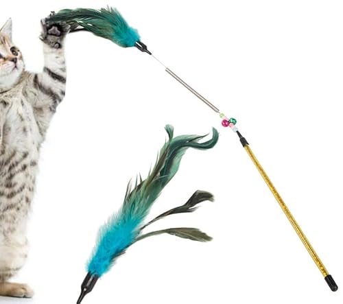 PARENCE.- Juguete para Gato/caña de Pescar interactiva con Pluma, estimulación Instinto de Caza y Entretenimiento para tu Animal – Color Aleatorio