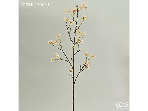 Heptacodium eden ramo h101 pale pink