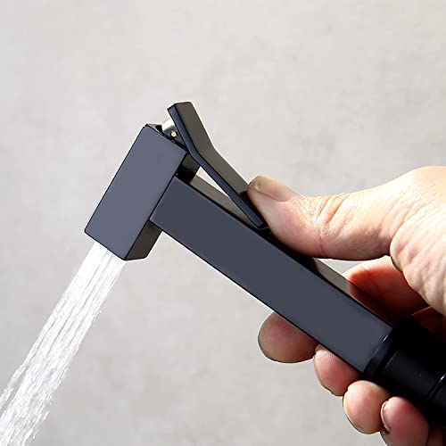 Kit pulvérisateur bidet à toilettes murales anti-fuite laiton noir