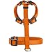 Hunter Hundegeschirr London Vario Rapid, 4-Fach verstellbares Y-Geschirr für kleine & mittlere Hunde, Sicherheitsverschluss mit Verriegelung, Farbe: orange, Größe: S