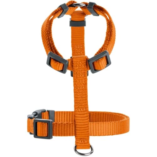 Hunter Hundegeschirr London Vario Rapid, 4-Fach verstellbares Y-Geschirr für kleine & mittlere Hunde, Sicherheitsverschluss mit Verriegelung, Farbe: orange, Größe: XXS-XS