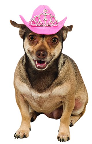 Rubie's Pink Cowgirl Hat with Tiara for Dogs, M/L