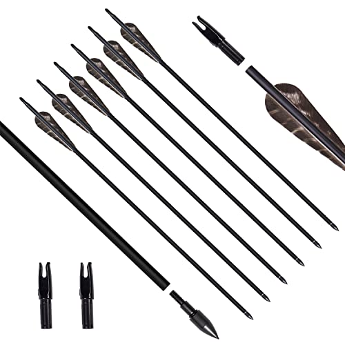 ARCHERY SHARLY 31Inch Carbon Arrow Practice Hunting Arrows with 4 Natural Turkey Feather Fletching Arrows with Removable Tips for Compound Recurve Bow & Longbow (6 Pack)