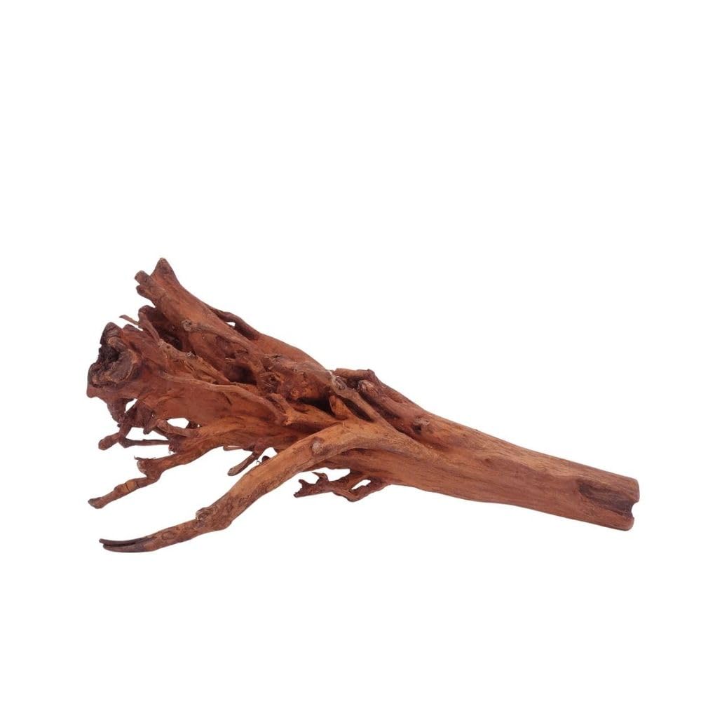 AquaOne Aquarium Wurzel M Jungle Wood Nr.4477 Aquarium Wurzel Holz Deko Aquascaping Dekoration Landschaft Moos Natur Echtholz
