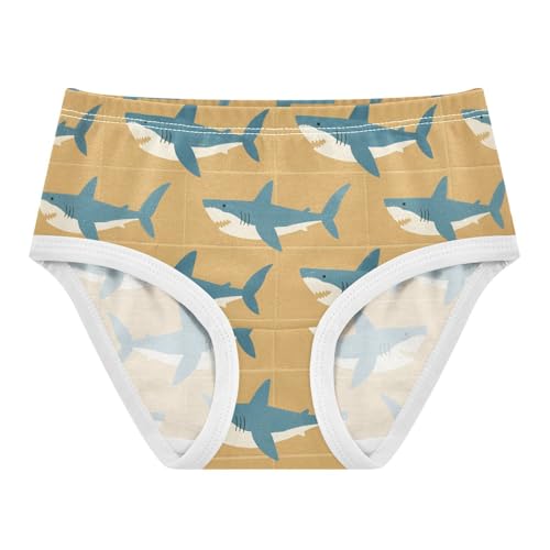 Cotton Panties Hipster Triangle Panties Toddler Cotton Underwear for Girls in Sizes 2T,3T, 4T, 5T, 6Y and 8Y