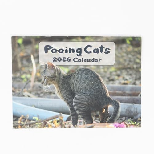 2026 Funny Cat Pooping Calendar