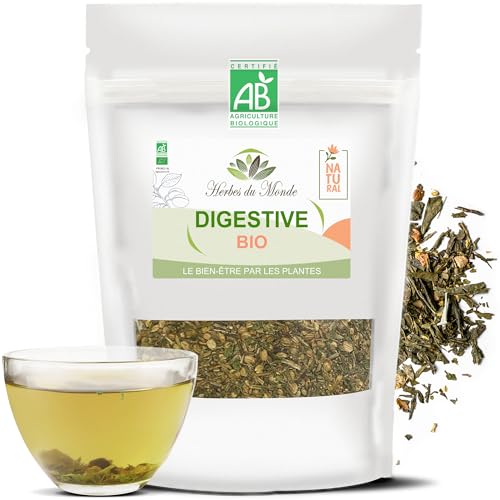 Herbes du Monde - Té de hierbas digestivo BIO - Infusión digestiva desintoxicante orgánico - Mezcla de plantas BIO rica en antioxidantes - 1 sobre de 80 g con certificación AB