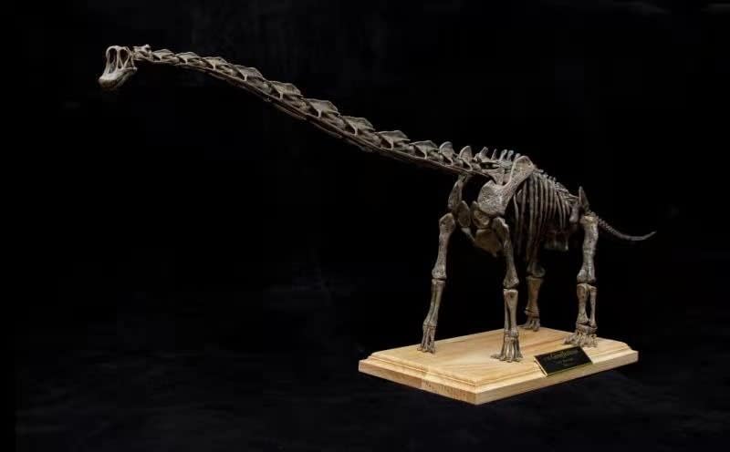 VWUVWU 1：35 Scale Giraffatitan Skeleton Figure Brachiosaurus Resin Animal Model Dinosaur Collector GK Decor Gift for Adult