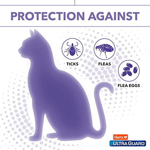 Image of Hartz UltraGuard Plus Cat Flea & Tick Spray, 8 oz (Pack of 2)