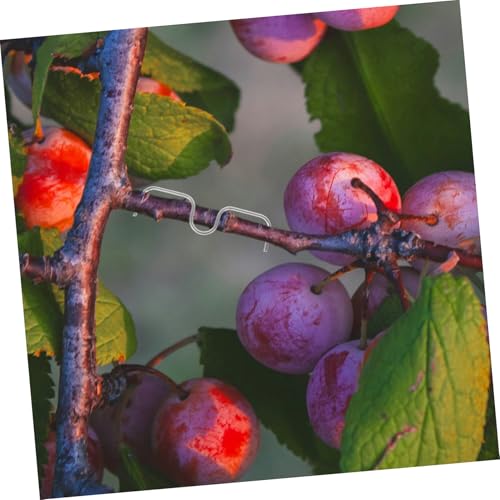 Garneck 10 piezas herramienta para doblar ramas de árboles frutales miniatura 4