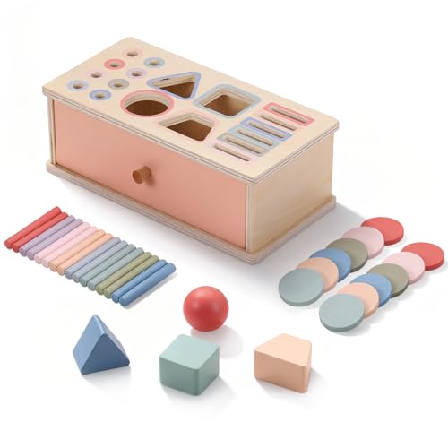 Jouet Montessori, 3 en 1 Jeux Enfant Jouet en Bois éDucatif De Tri des Couleurs, Boite a Forme, Motricité Fine pour Garçons Filles, Boîte de Tri des Jeux Sensoriels, Cadeau de jouet éducatif de Noël