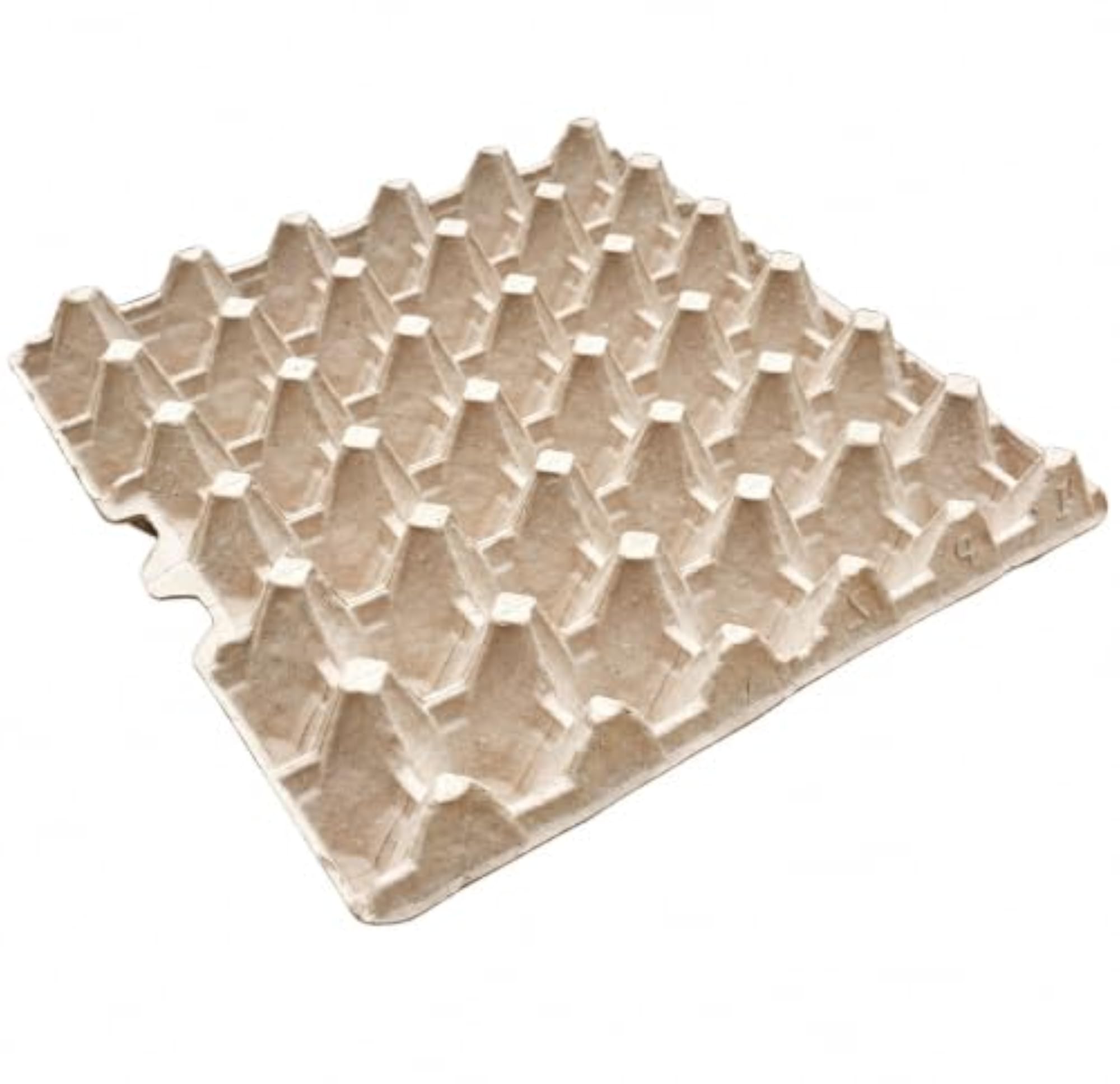 Reusable Biodegradable Paper Pulp Egg Storage Tray for 30 Eggs