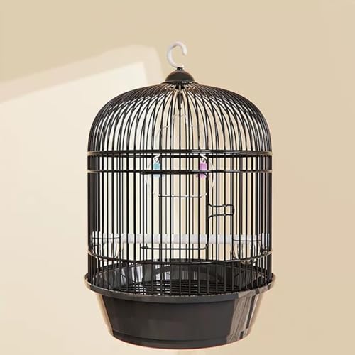 Nicffdi IJCR P[W ی^  _F GT o[hP[W nht  P[W  Ƃ肩 CeA  ^    P[W Zbg CRP[W ړ  P[W 䟭 ZLZCCR P[