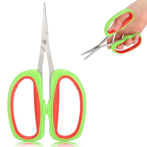 KUIDAMOS Branche D'arbres Fruitiers Coupe Ciseaux Outils De Jardin Raisin Élagage Cisailles sécateur de Raisin d'acier Inoxydable Ciseaux Bonsai Japonais Coupe Sécateurs et Ciseaux