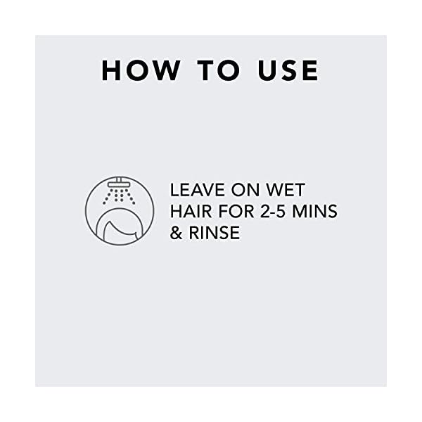 Sebastian Professional Dark Oil Lightweight Mask, with Jojoba and Argan Oils, 5.1 oz