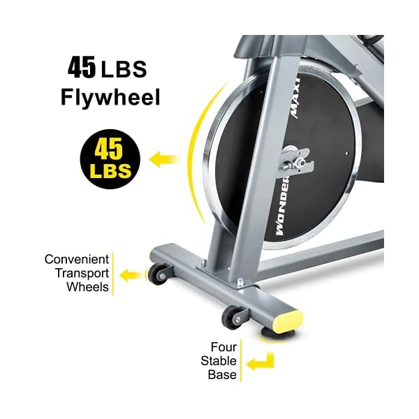 Wonder Maxi Indoor Cycling Bike, Stationary Exercise Bike Belt Drive Workout Bike with 330 Lbs Weight Capacity 45Lbs Flywheel, Ipad Holder and LCD Monitor for Home Cardio Training, Upgraded Version