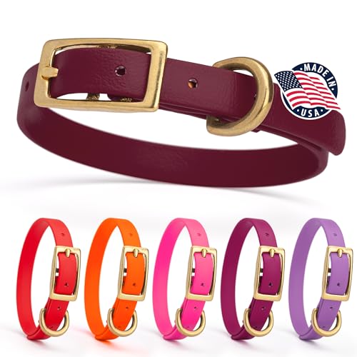 Image of Viper Biothane Heavy Duty Waterproof Dog Collar Strong Coated Nylon Webbing w /Solid Brass Hardware Odor-Proof Easy to Clean High Performance Fits Small Medium or Large Dogs, Merlot Burgundy