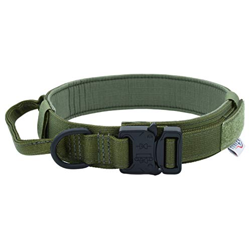 od green dog collar