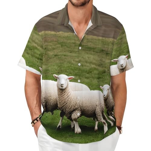 Chemise manches courtes homme imprimé agneau pour rester frais et confortable