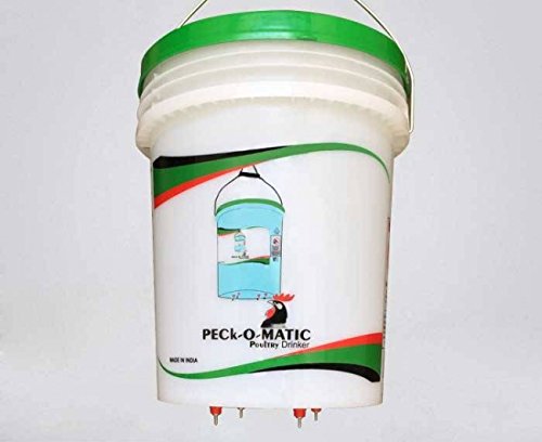 One Peckomatic (Peckomatick) Poultry Drinker