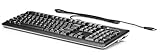  Clavier HP USB SmartCard CCID, Noir, Argent - Claviers (Standard, avec Fil, USB, QWERTY, Noir, Argent)