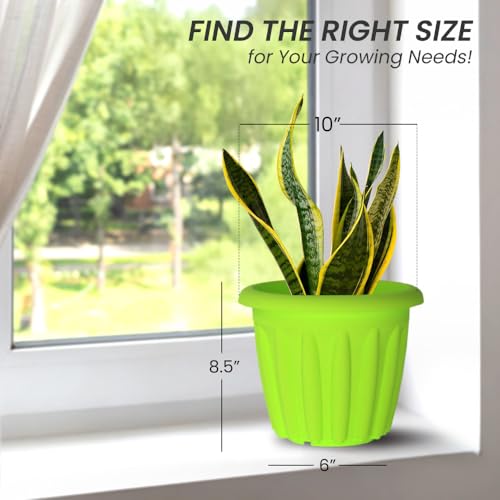 Image of YUCCABE ITALIA SHERA Floot 10 Inch Plastic Flower Pot 6 Piece Set of Round Shape Planter for Home Garden Seedling Planter for pots (Green)