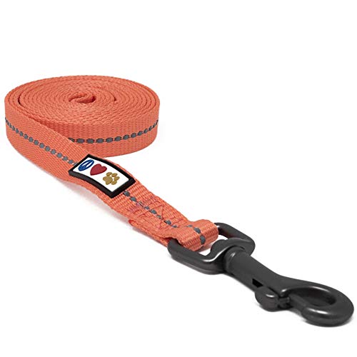 Pawtitas ♻️ Correa de perro reciclada con hilo reflectante | Correa de perro reflectante hecha de botellas de plástico recogidas en los océanos – Correa para perro Extra Pequeño / Pequeño Cora