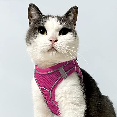 Joytale Step in Dog Harness,Soft Mesh Reflective Breathable Vest Harnesses,Easy Walk Harness with Safety Buckle for Cat,Puppies and Extra Small Dogs,XXS,Hotpink - Image 2