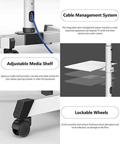 Soporte móvil para TV de 32 a 55 pulgadas ajustable miniatura 6