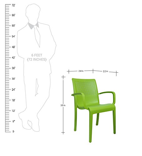 Image of CELLO Ecstasy Chair - Green | Strong and Durable | Easy to Clean | Chair for Living Room, Bed Room, Kitchen, Office Room, Outdoor | 3 Years Warranty