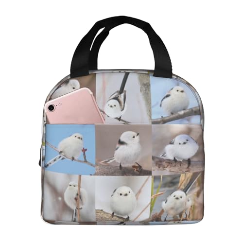 `obO V}GiK  ۗ ۉ ٓobO  RpNg O|Pbgt ~jg[gobO p肳obO fB[X Y ʋ ʊw s fB[X Y qp