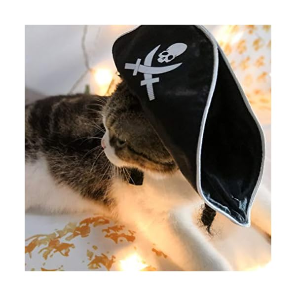Amosfun pet pirate hat dog cat captain cap halloween pirate cosplay costume halloween party hat dress up costume accessories - image 7