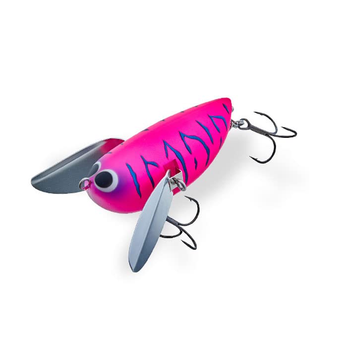 Amazon.co.jp: ビバ 超どんぐりマウス Viva DONGURI MOUSE : スポーツ